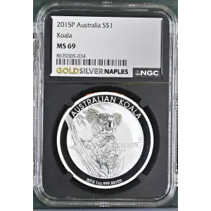 2015P Koala (2)