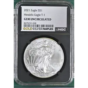 2021 Heraldic Eagle T-1 (2)