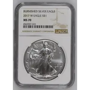 2017 W BURNISHED SILVER EAGLE (2)