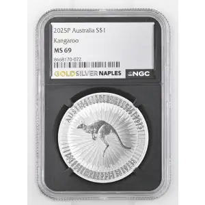 2025P Kangaroo (2)