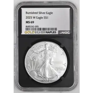 2025 W Burnished Silver Eagle (2)