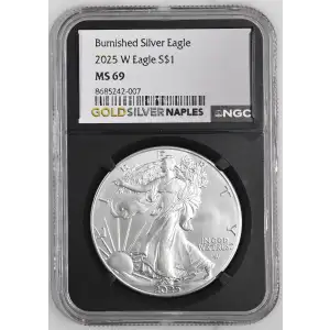 2025 W Burnished Silver Eagle (2)