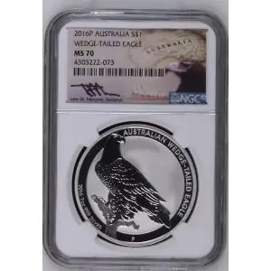 2016P Wedge-Tailed Eagle (2)