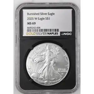 2025 W Burnished Silver Eagle (2)