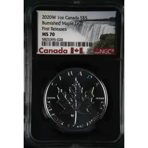 2020W 1oz Burnished Maple Leaf First Releases (2)