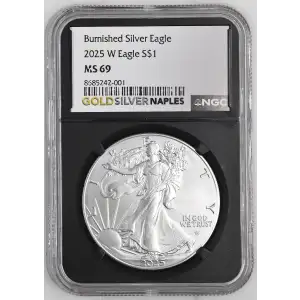 2025 W Burnished Silver Eagle (2)