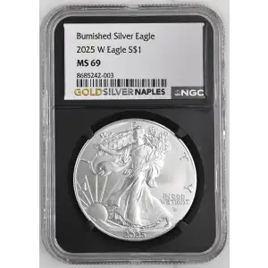 2025 W Burnished Silver Eagle (2)