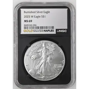 2025 W Burnished Silver Eagle (2)